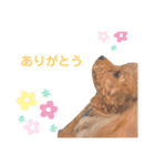 とこあんず（個別スタンプ：8）
