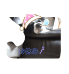 Jじぇい（個別スタンプ：3）