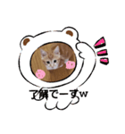 ミーちゃんの敬語（個別スタンプ：7）