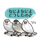 マイペースな小鳥(メッセージスタンプ1)（個別スタンプ：6）