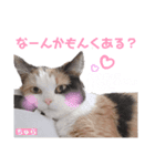 ちゅらのキモチ♡（個別スタンプ：1）