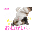 ちゅらのキモチ♡（個別スタンプ：3）
