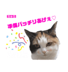 ちゅらのキモチ♡（個別スタンプ：4）