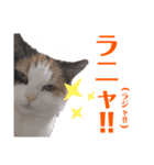 ちゅらのキモチ♡（個別スタンプ：6）