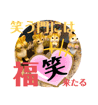 高次元パワースタンプ（個別スタンプ：15）