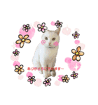 雑種ですが、何か？！（個別スタンプ：3）