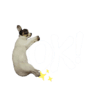 らんたくん（個別スタンプ：4）
