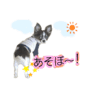 らんたくん（個別スタンプ：7）