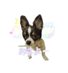 らんたくん（個別スタンプ：8）