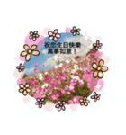 お誕生日2カ国語 その1（個別スタンプ：5）