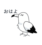 かもめちゃ（個別スタンプ：1）