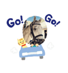可愛くて面白い馬（個別スタンプ：6）