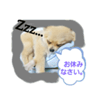 メイちゃん(2020.07)（個別スタンプ：1）