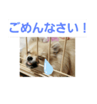 メイちゃん(2020.07)（個別スタンプ：6）