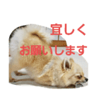 メイちゃん(2020.07)（個別スタンプ：13）