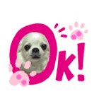 夏ちゃん動物園（個別スタンプ：5）