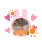 夏ちゃん動物園（個別スタンプ：6）