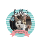 ちょぼ君スタンプ（個別スタンプ：2）