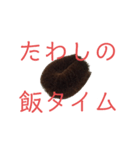 たわしのスタンプその1（個別スタンプ：7）