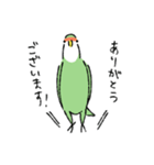 コザクラインコのとりもも（日常会話）（個別スタンプ：2）