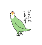 コザクラインコのとりもも（日常会話）（個別スタンプ：4）