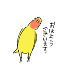 コザクラインコのとりもも（日常会話）（個別スタンプ：5）