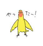 コザクラインコのとりもも（日常会話）（個別スタンプ：15）