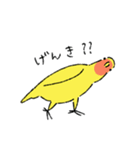 コザクラインコのとりもも（日常会話）（個別スタンプ：19）