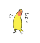 コザクラインコのとりもも（日常会話）（個別スタンプ：22）