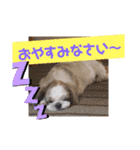 ウェルちゃんスタンプ（個別スタンプ：2）
