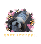 ウェルちゃんスタンプ（個別スタンプ：3）