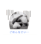 ウェルちゃんスタンプ（個別スタンプ：4）