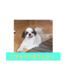 ウェルちゃんスタンプ（個別スタンプ：5）