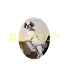 ウェルちゃんスタンプ（個別スタンプ：13）