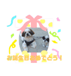 ウェルちゃんスタンプ（個別スタンプ：14）