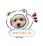 犬の風ちゃん（個別スタンプ：18）