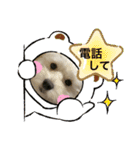 犬の風ちゃん（個別スタンプ：21）