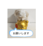 犬の風ちゃん（個別スタンプ：22）