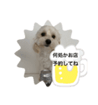 犬の風ちゃん（個別スタンプ：24）