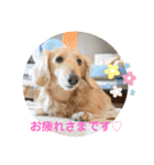 ソラくん日常会話（個別スタンプ：2）
