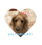 ソラくん日常会話（個別スタンプ：5）