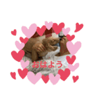ソラくん日常会話（個別スタンプ：10）