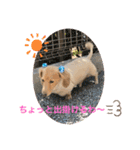 ソラくん日常会話（個別スタンプ：14）