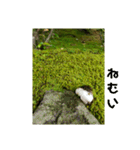 きのこ時々 苔 癒し（個別スタンプ：22）