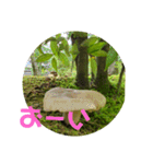 きのこ時々 苔 癒し（個別スタンプ：26）