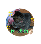 我が家のアイドル愛月と空（個別スタンプ：4）