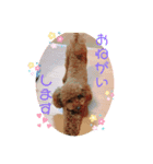 我が家のアイドル愛月と空（個別スタンプ：5）