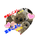 コアラのねむちゃん2（個別スタンプ：2）