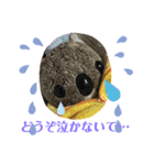 コアラのねむちゃん2（個別スタンプ：3）