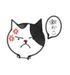 にゃんにゃんにゃーーー（個別スタンプ：8）